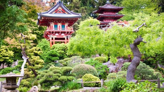 美國舊金山市區經典一日遊-可定制【中文專車-舒適純淨】