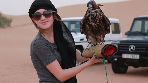 Morning Adventure Safari: CamelTrek QuadBike Sandboard Falcon Pic Day Tours 7