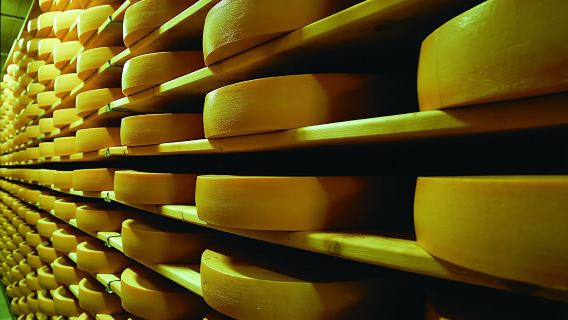 Gruyères, cheese museum and chocolate factory tour from Geneva by bus