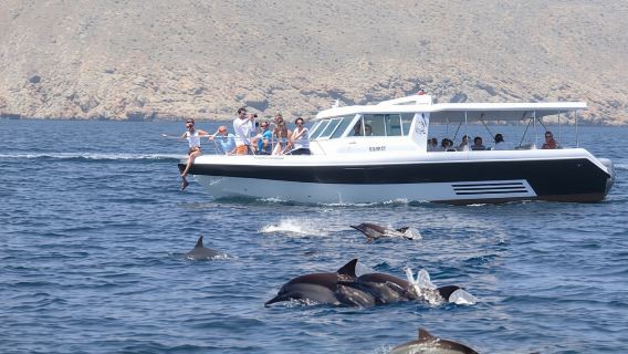 Dolphin Watching Tour in Salalah