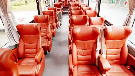 Double World Heritage Day Trip: Dujiangyan + Mount Qingcheng