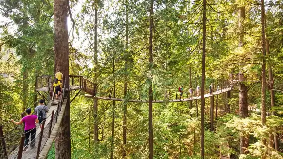 Vancouver Tour: Stanley Park, Granville Island & Capilano Bridge