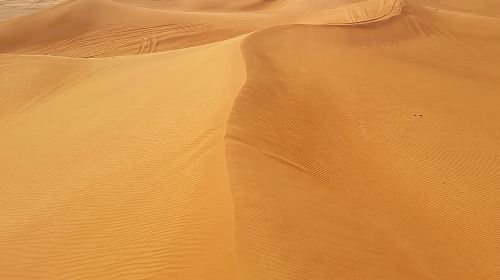 Arabian Night Safari with Camel Ride, Sandboard, BBQ & Live Shows Day Tours 4