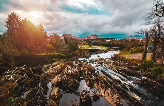 基拉尼出發凱利環日遊：包括基拉尼國家公園