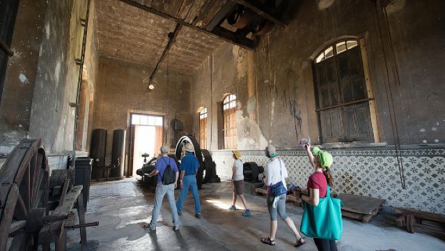 Yaxcopoil Hacienda, Uxmal & Cenote from Merida