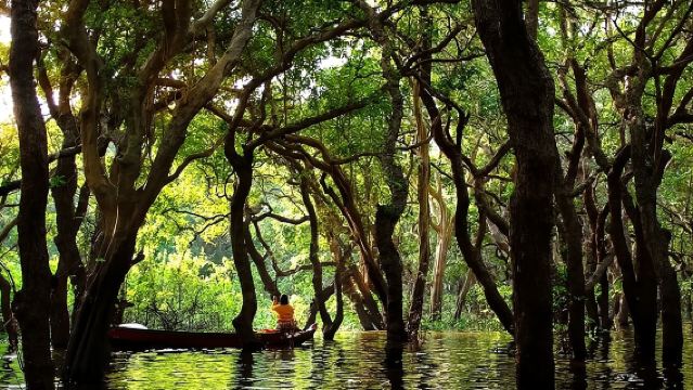 Kompong Phluk Floating Village Half-Day Tour ( Morning / Sunset )