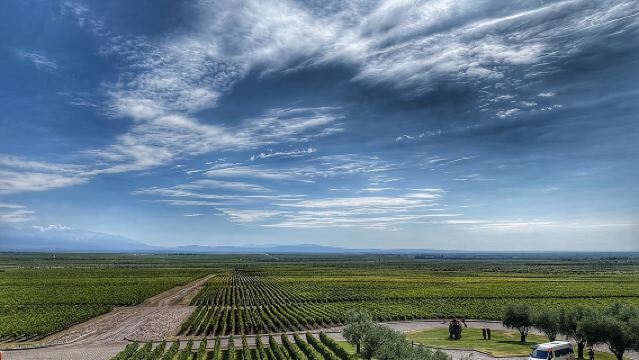 Ganztägige Wein-Tour in kleiner Gruppe mit Gourmet-Mittagessen
