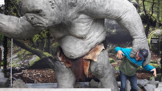 Excursión de medio día por Wellington