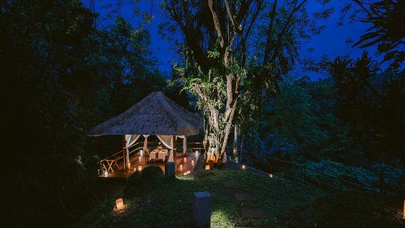 развлечения в ресторанах alila ubud