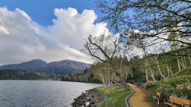日本北海道札幌-神居古潭-旭川市旭山動物園【中文專車-悅享旅途】