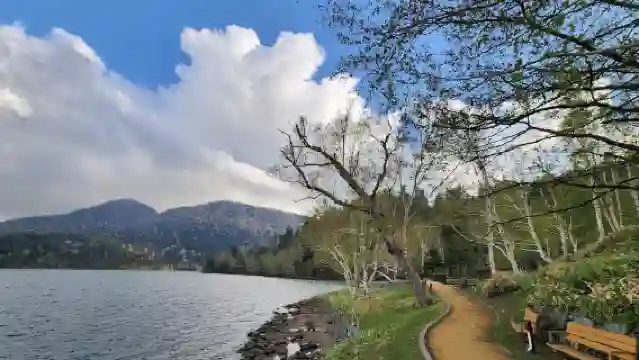日本北海道札幌-神居古潭-旭川市旭山動物園【中文專車-悅享旅途】