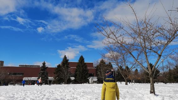 日本北海道旭川+森林精靈陽台一日遊/行程可調-可定制多日