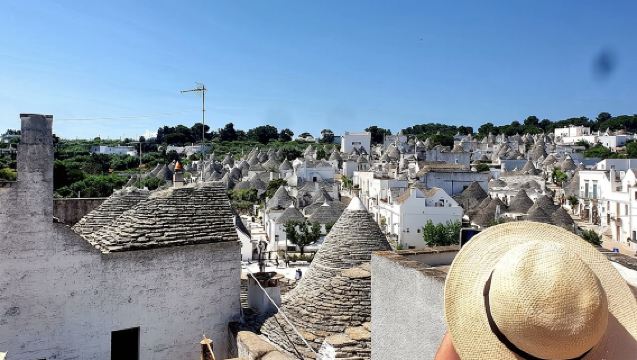 จากบรินดิซิ: อัลเบโรเบลโล, โลโคโรตอนโด, ออสตูนี และบรันช์แบบอพูเลีย