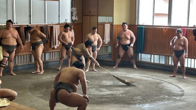 Tokyo: Visita all'allenamento mattutino di sumo con guida in inglese