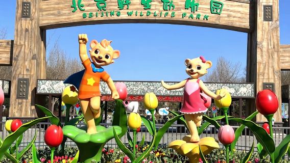 Day Trip to Beijing Wildlife Park [ Transportation + Tickets]