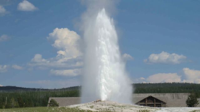 West Yellowstone: Tour giornaliero di Yellowstone con ingresso incluso