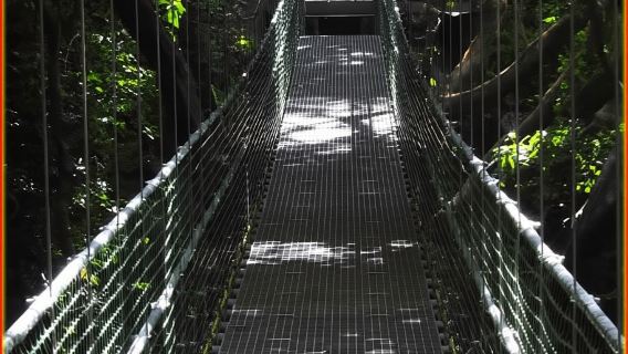 Roatan Island: Halbtägiger Öko-Spaziergang, Zipline & Strandtour