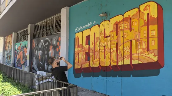 Belgrado: tour a piedi alternativo