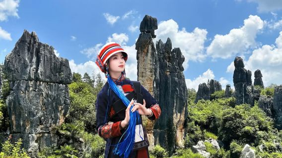 石林風景區一日遊:免費接+如帶進購物店退一賠十+專業導遊+特色午餐