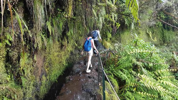 Madeira: Private Guided Levada Caldeirão Verde Walk PR9