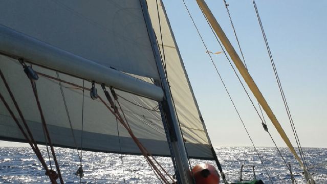 จากเนออส มาร์มารัส: ล่องเรือชมเกาะและอ่าวฮาล์คิติกี