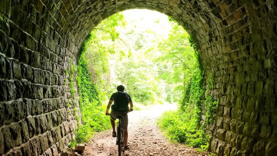 Motovun: E-Bike Tour in Istria