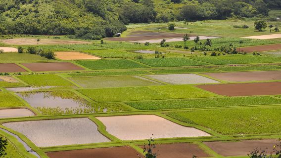 Desde Oahu: Lo más destacado de Kauai y lugares de rodaje de películas