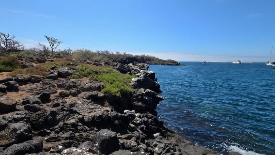 3 MIGLIORI TOUR ALLE GALAPAGOS - LA MIGLIORE ESPERIENZA DI ESCURSIONISMO E SNORKELING