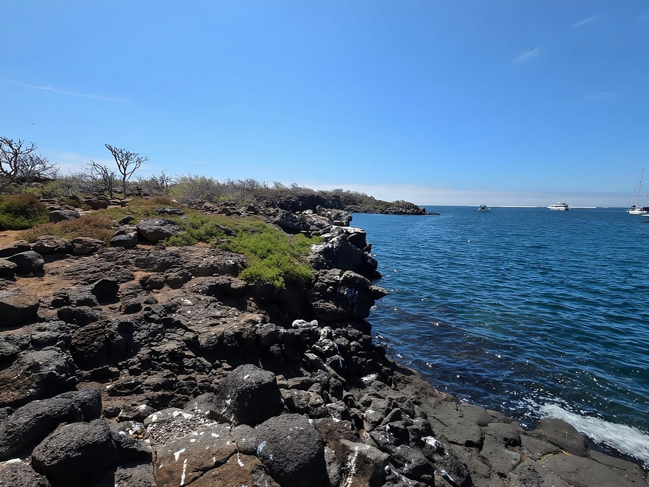 ガラパゴス諸島のベストツアー3選 - 最高のハイキングとシュノーケリングの最高の体験