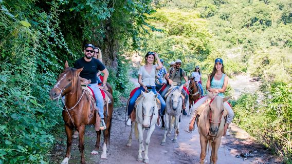 Puerto Vallarta: Aventura a Caballo en Wild Tour