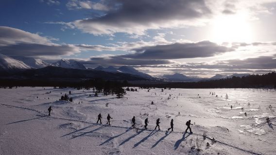 Tromsø: Easy Snowshoeing Tour with Coffee and Cake