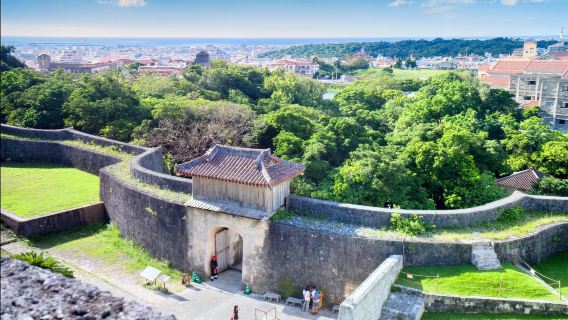 日本沖繩｜那霸｜地接｜翻譯陪同｜地陪旅遊｜展會｜商務考察｜AY