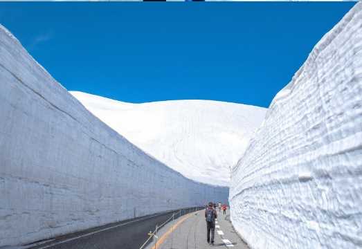 Tateyama Kurobe Snow Wall 2026 Festival 1 Day Bus Tour from Nagoya