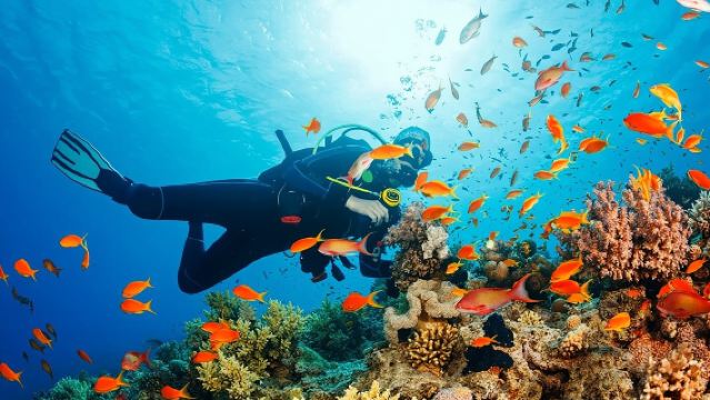 Diving And Snorkeling To Ras Mohamed And White Island By VIP Boat in Sharm El Sheikh