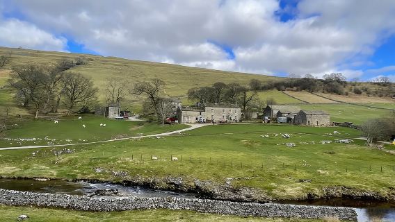 Private "All Creatures Great and Small" Yorkshire Dales Tour from York