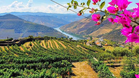 Douro Valley Day Tour with Two Wineries, Lunch & Boat Trip