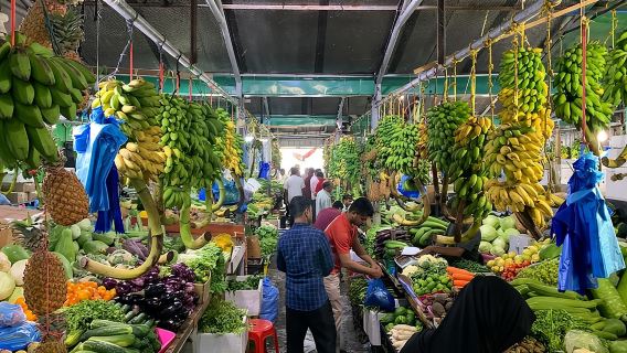 3 Hour Male' City Tour with Local Guide