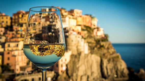 Sensorial wine tasting with AIS sommelier