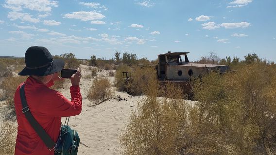 Gita giornaliera privata a Muynak e Nukus