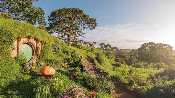 Hobbiton Movie Set Walking Tour from Shires Rest