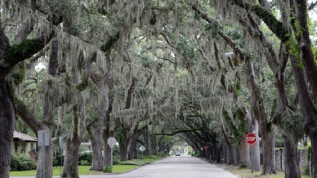 St. Augustine Hop-On Hop-Off Trolley Tour