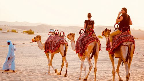 1-Hour Dune Buggy Self-Drive, Camel Ride & Sandboarding Adventure 3