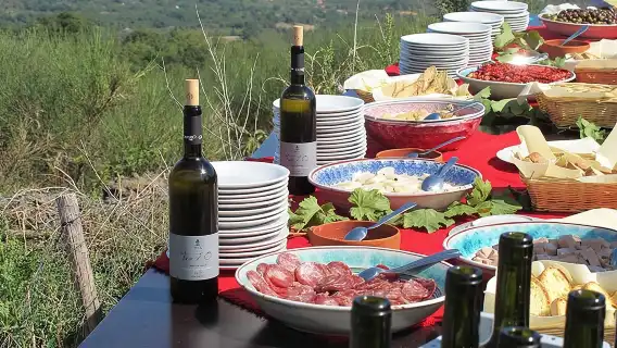 From Syracuse: Private Tour Mount Etna with Lunch at Etna Winery 
