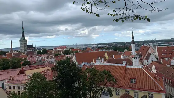 Helsinki to Tallinn Guided Tour with return Cruise tickets
