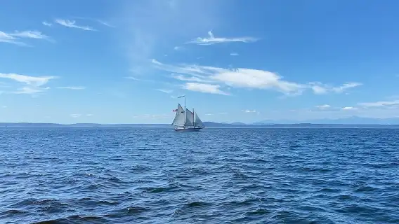 ทัวร์ล่องเรือชมท่าเรือซีแอตเทิล