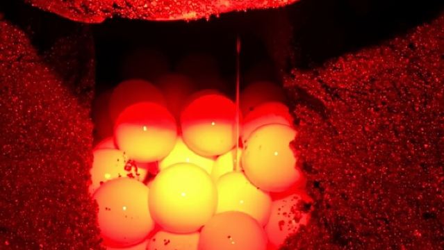 Turtle Watching Night Tours with Expert Naturalist