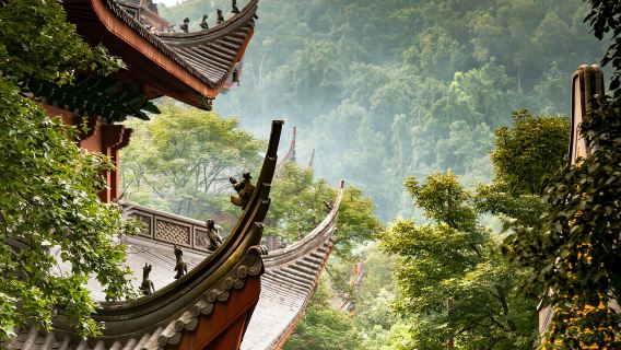 Hàng Châu + Chùa Linh Ẩn + Sông Tiền Đường + Tây Hồ / hướng dẫn viên/ Tiếng Trung / Tiếng Anh / Tiếng Nga / F