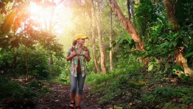 高黎貢山百花嶺徒步一日遊【陰陽谷溫泉+美人大瀑布+火燒咖啡】