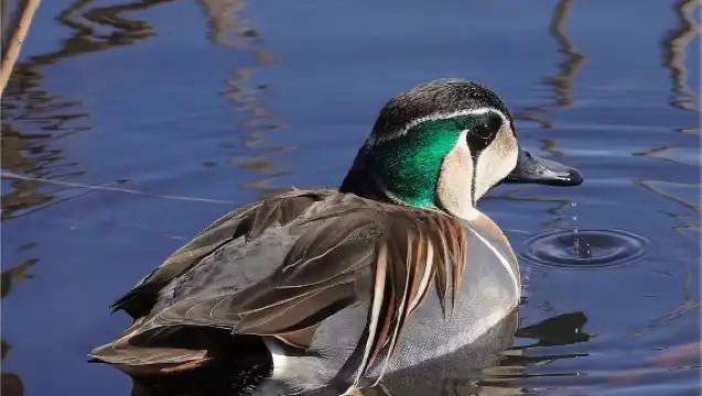 頤和園15人團親子研讀半日遊【蝸牛文旅|解鎖長廊趣味故事】