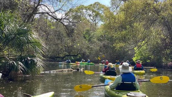Manatee and Dolphin Kayak Tour